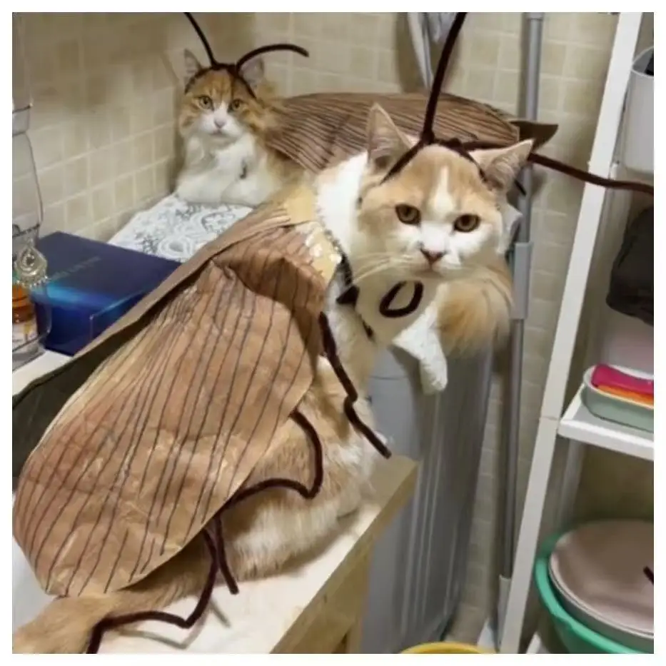 Cosplay Creative Outdoor Portable EDC Funny Dressing Props Cockroach Clothing Handmade DIY Cat Clothes