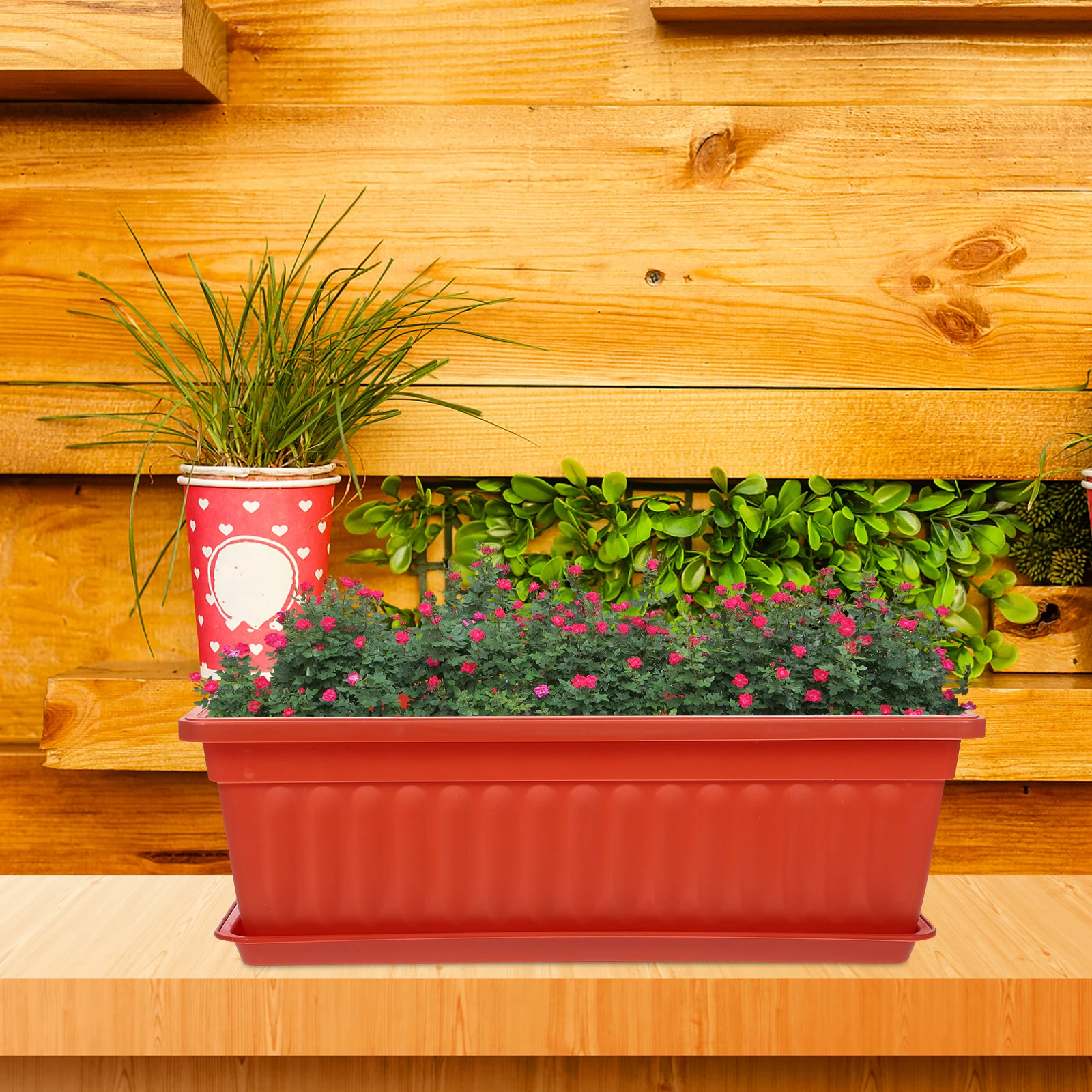 

Clear Potting Containers for Plants Planting Rectangle Planter with Tray Track Growing