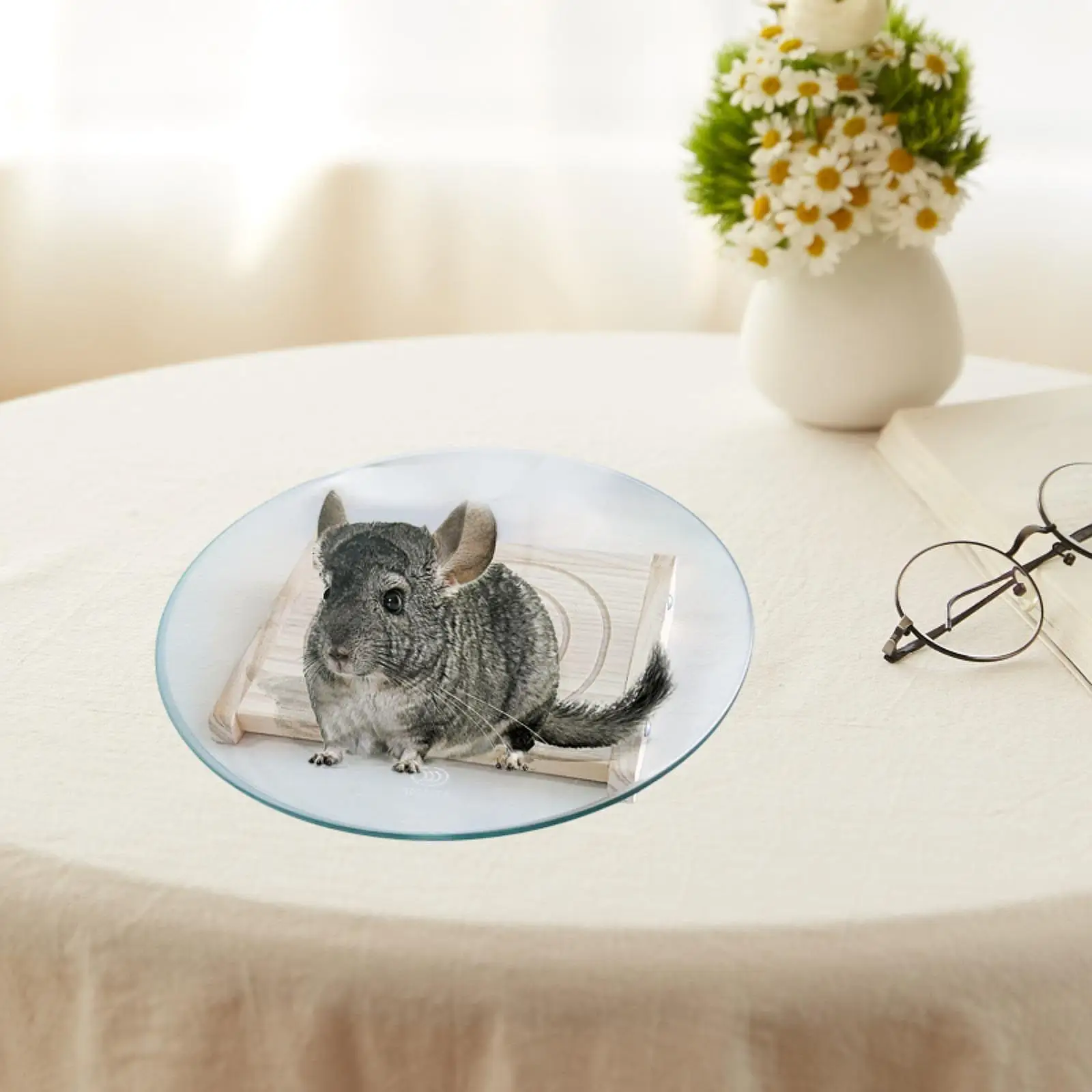 small-pet-exercise-wheel-durable-wooden-silent-runner-platform-toys-for-gerbils-rats-mice-hamsters