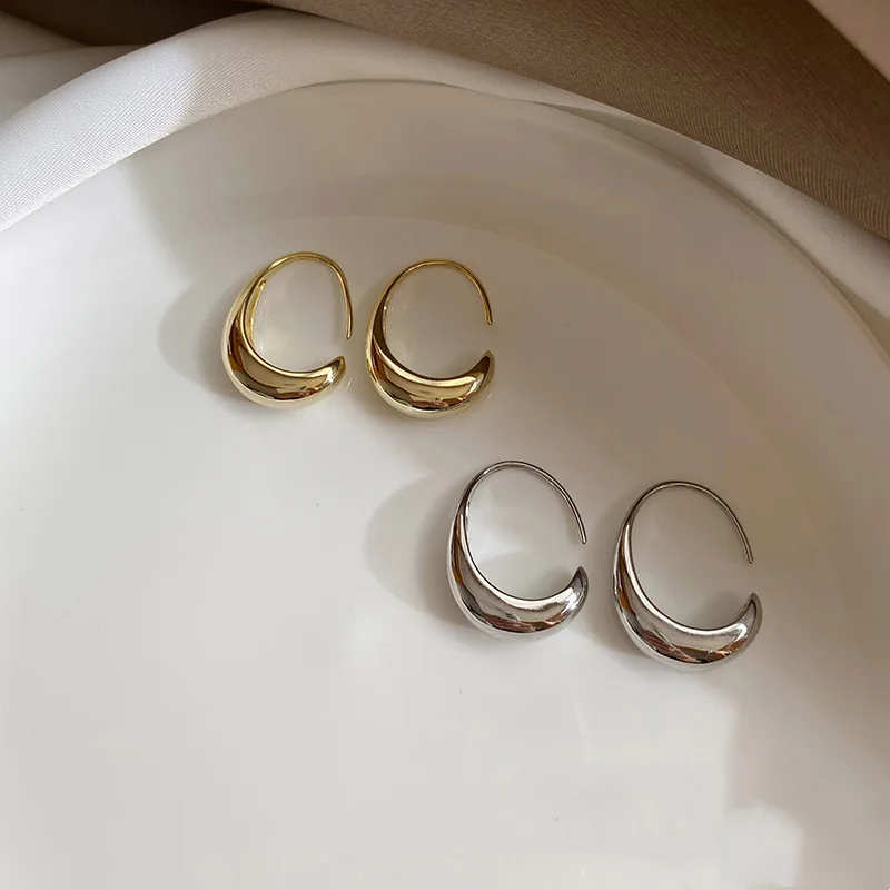 925 Silver Needle Geometric Oval Hoop Earrings For Women Party Wedding Punk Jewelry Gift e551