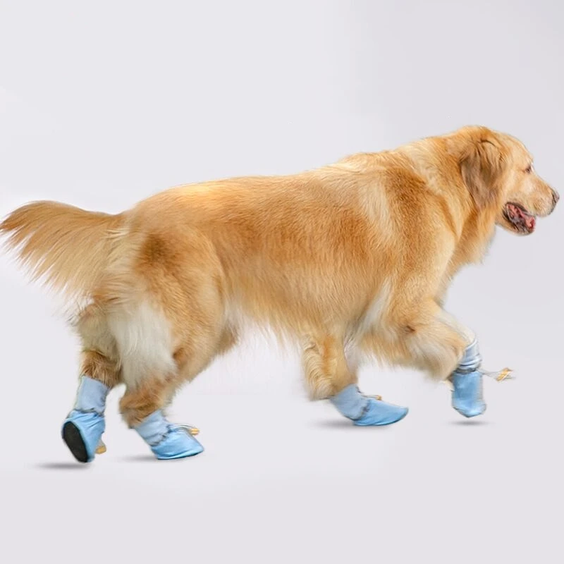 Large Pet Dogs Shoes WaterproofAnti-Slip Rubber Shoes for Pet Dogs, Waterproof Rain Shoes, Outdoor Footwear, 4pcs Socks