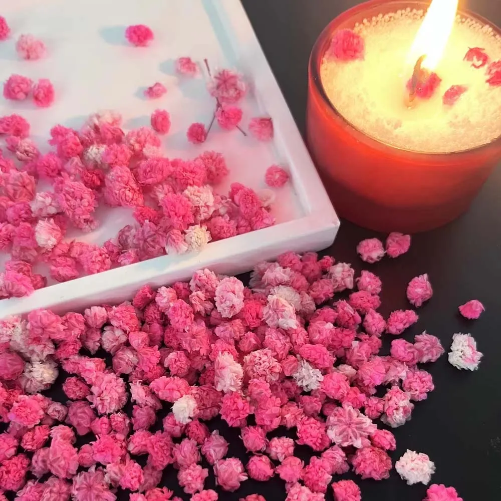 1Box Flower Mix for Crafts Candle Making Pressed Flowers Pink Colors for Resin Art,Nail Designs, Earring Creations & Soap Making