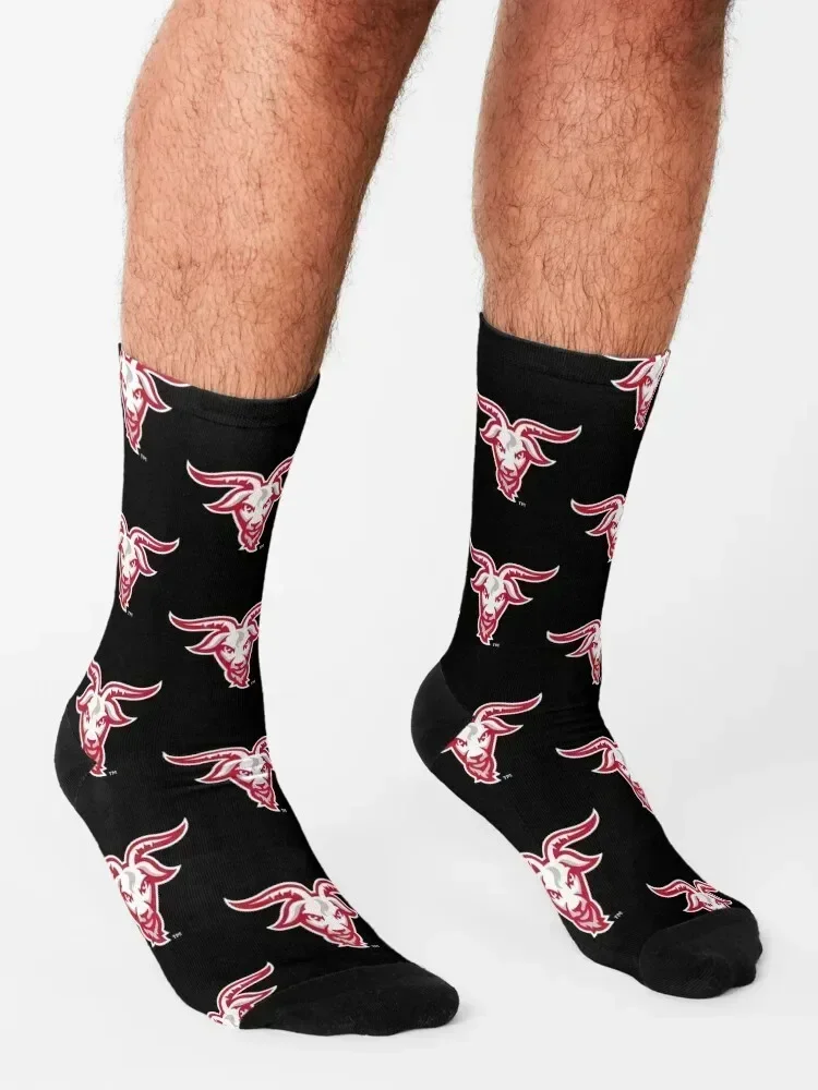 جوارب wpi Worcester Engineers جوارب تسلق صيفية للعام الجديد للنساء والرجال