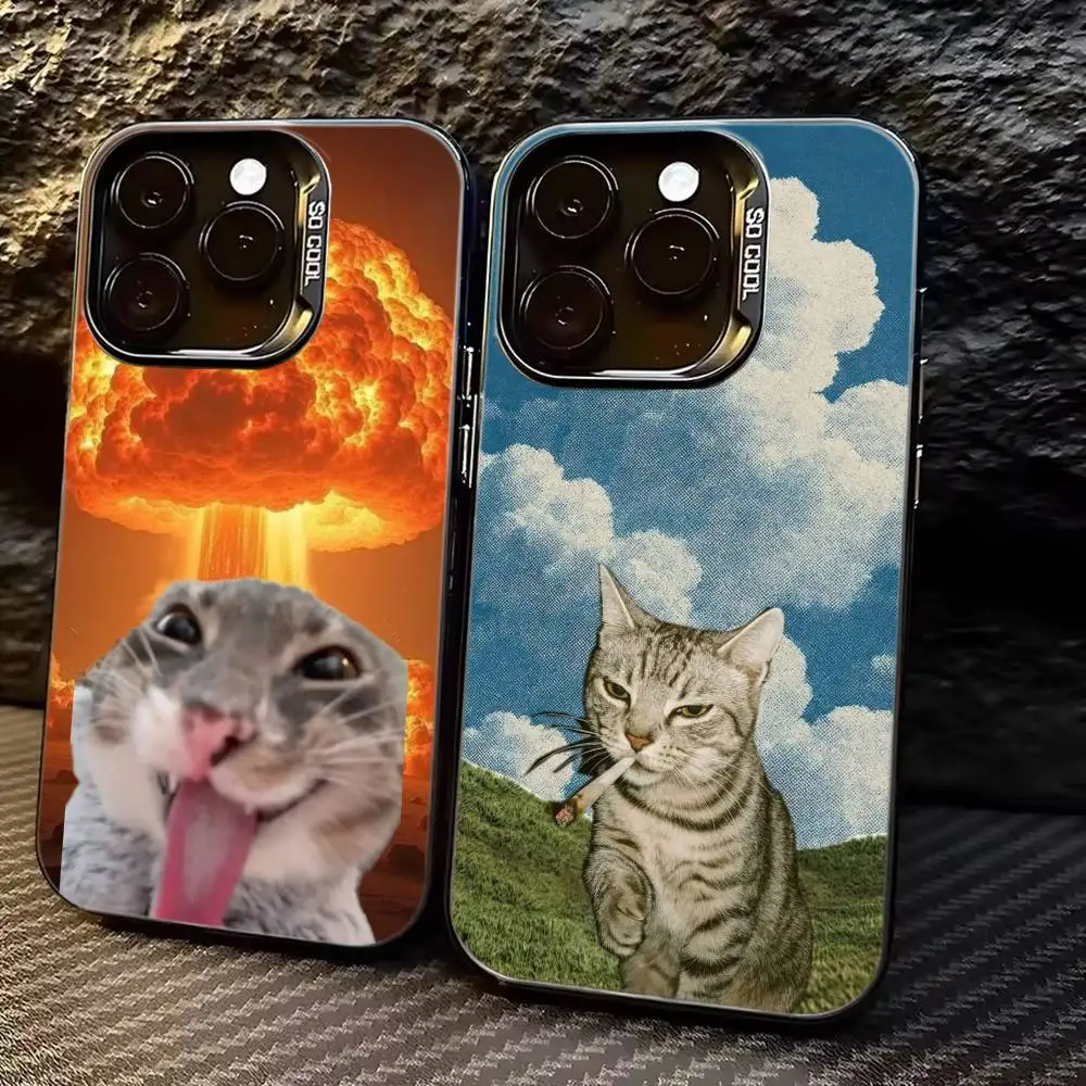 

Cute Pet Cat memes Phone Case For iPhone 17,16,15,14,13,12,11 Plus,Pro Max,XS,Colorful Silver Black Cover