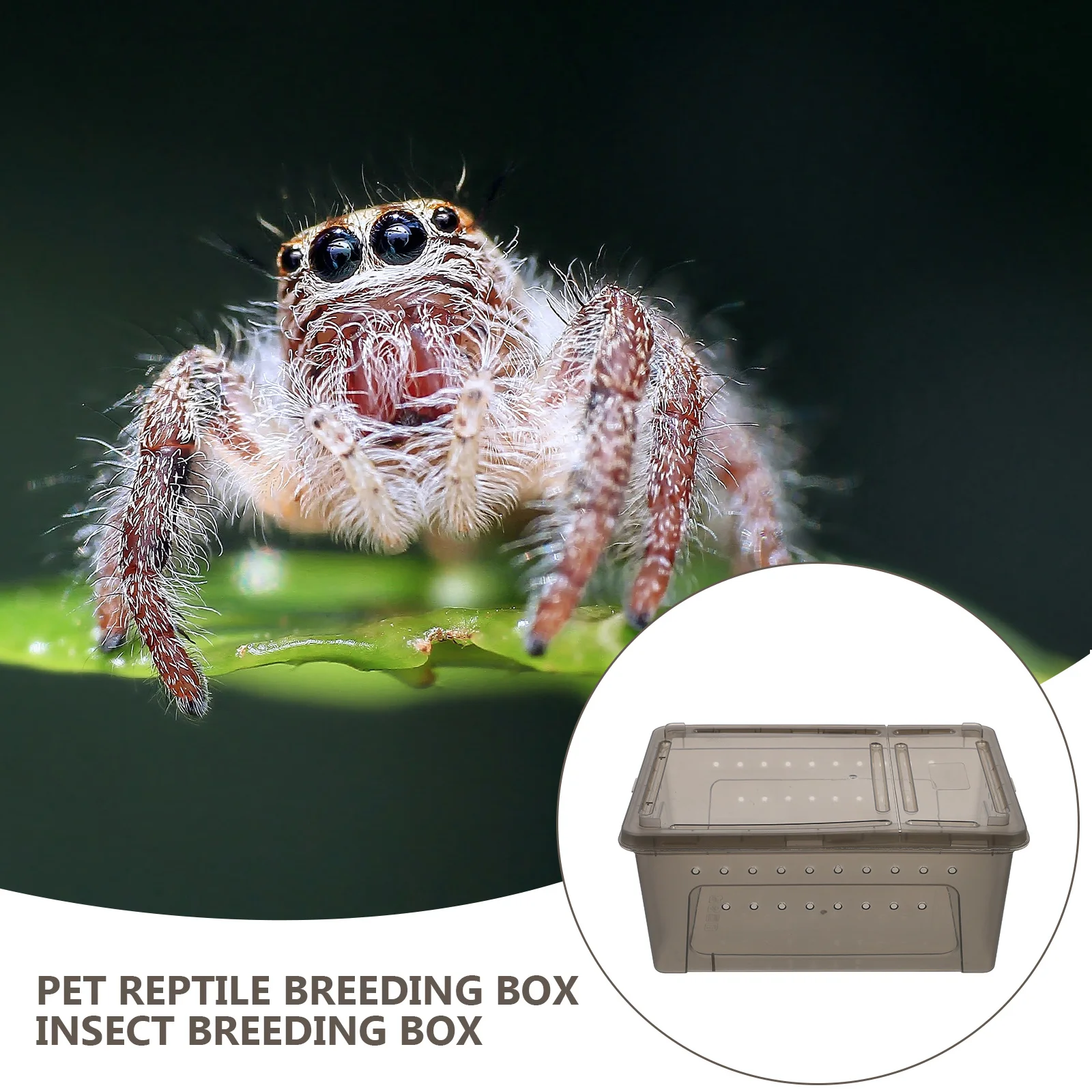 

1pc Pet Feeding Box Reptile Breeding Terrarium with Aquarium for Turtles Water Fish Guppy Tank Reptile Supply Case