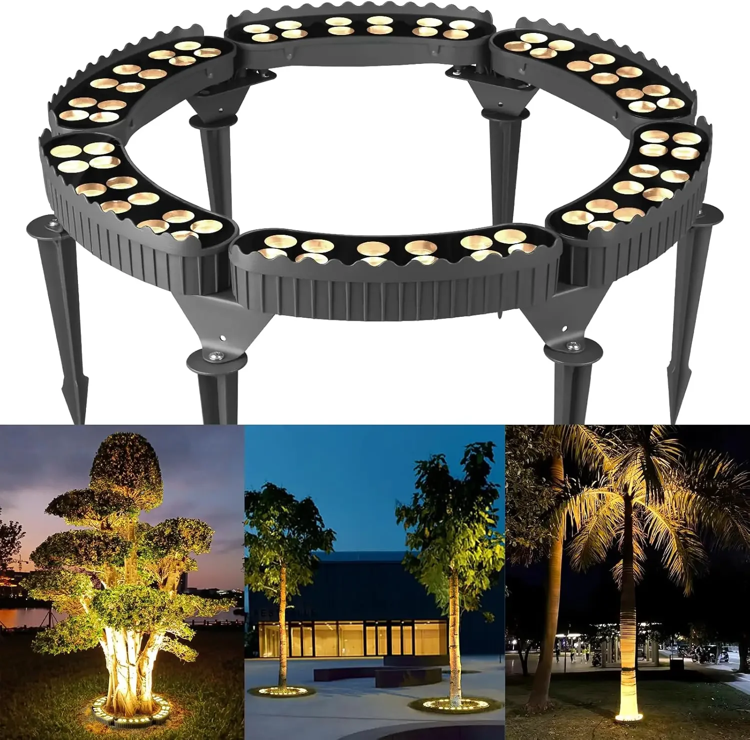 Gardencoin 72W LED Outdoor Ring Tree Lights Low Voltage IP65 Waterproof Landscape Uplighting with DC24V Driver Included