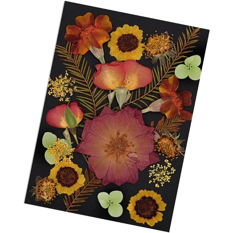 

Pressed Dried Flower for Resin Molds Natural Pressed Dried Flower Leaves For Scrapbooking Soap Jewelry Making 15UB