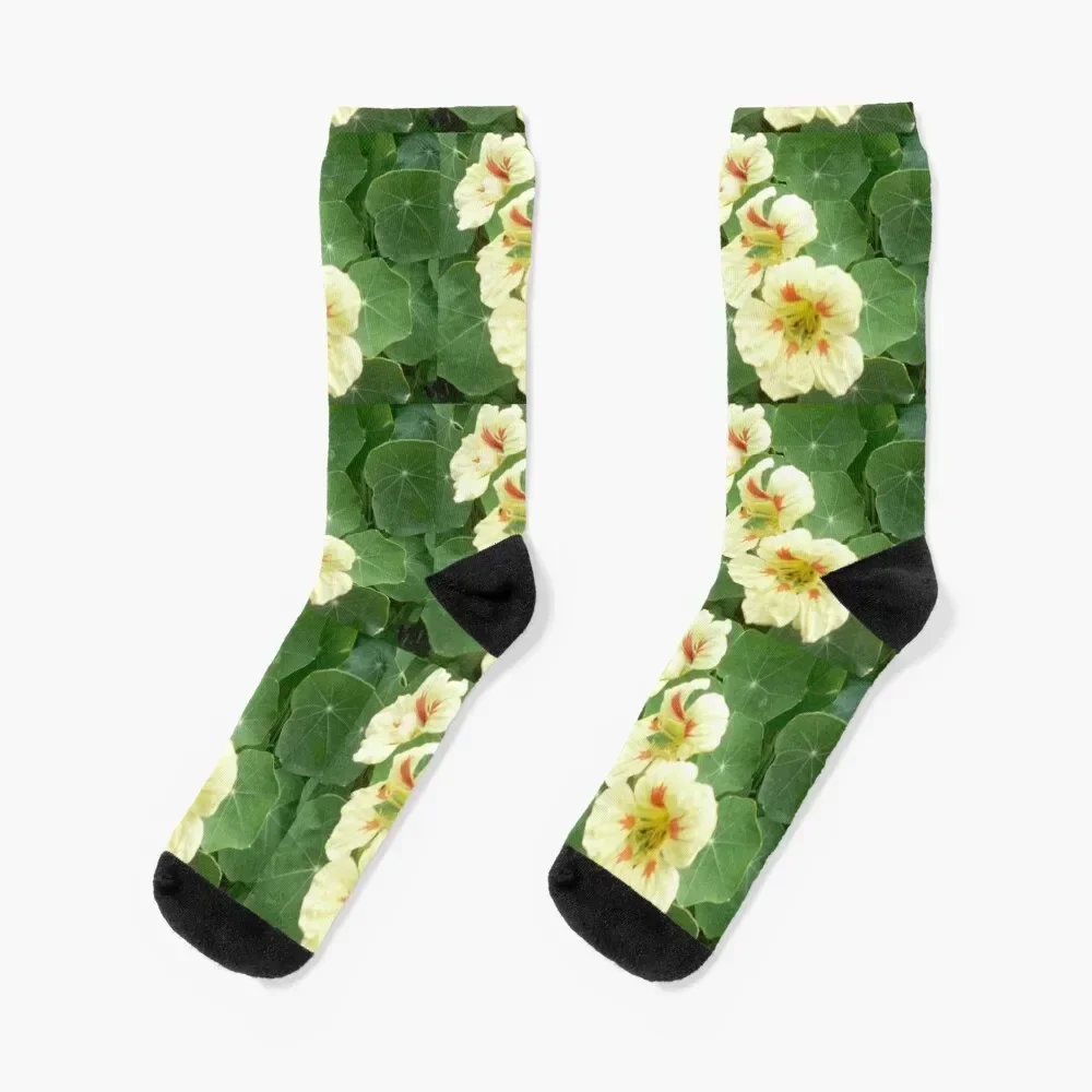 

Yellow Nasturtium Socks luxury gift Running funny gift Socks For Men Women's