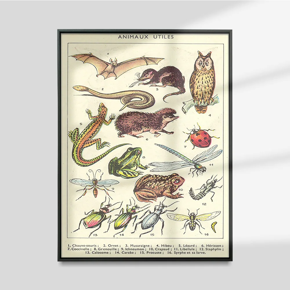 Utiles Animal Print Art Poster Hand Drawing Illustration Canvas Painting Wall Stickers Dining Room Decor