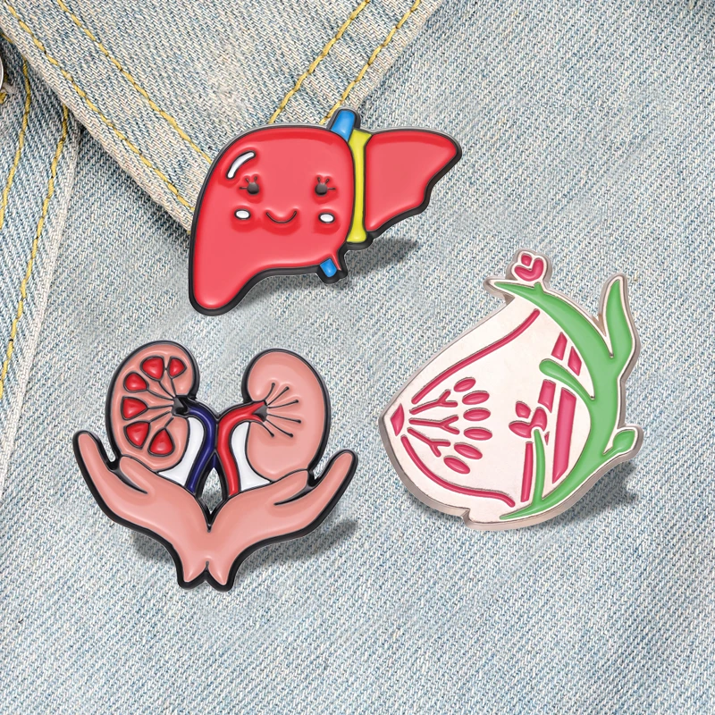 Breasts Kidney Liver Enamel Pins Custom Organs Brooches Lapel Badges Biology Anatomy Medical Jewelry Gift for Kids Friends