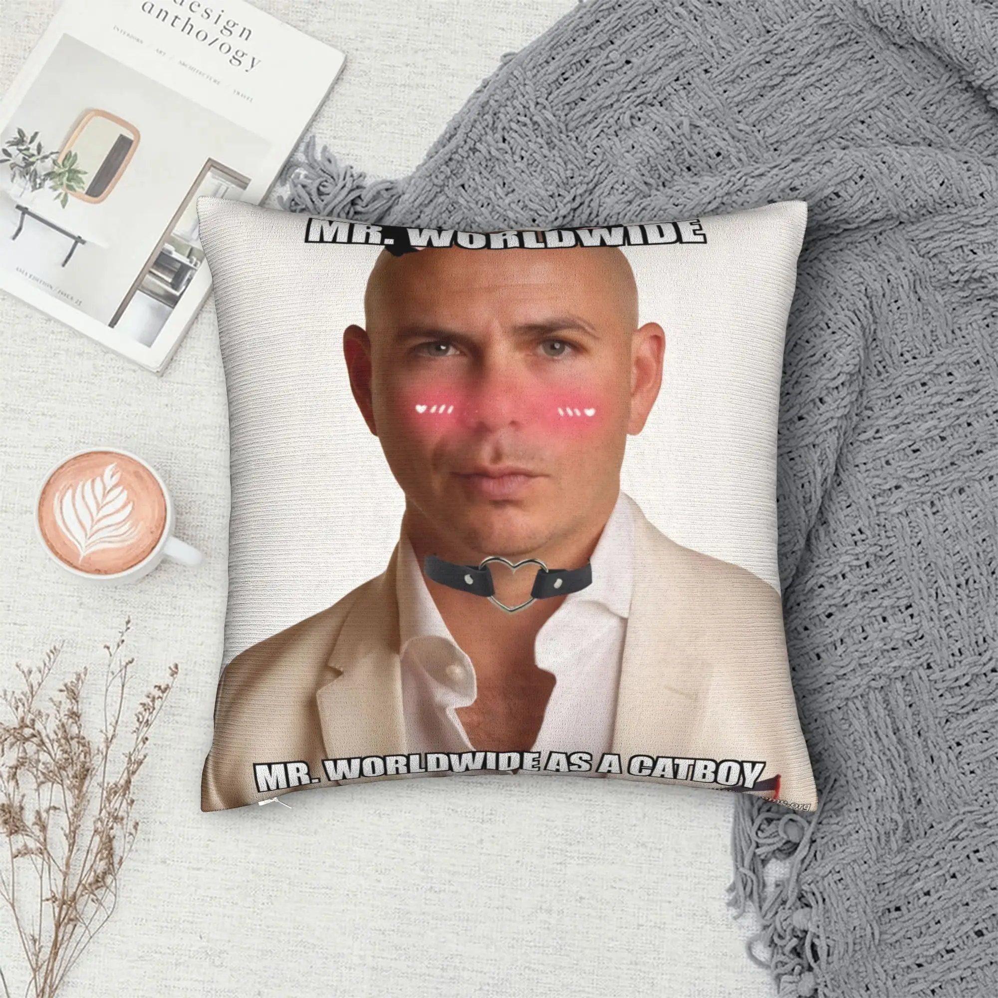 Warm Living Room Singer Pitbull Tour 2026 Decorations Pillowcase Merch  Pillow Cover Square Multiple Sizes