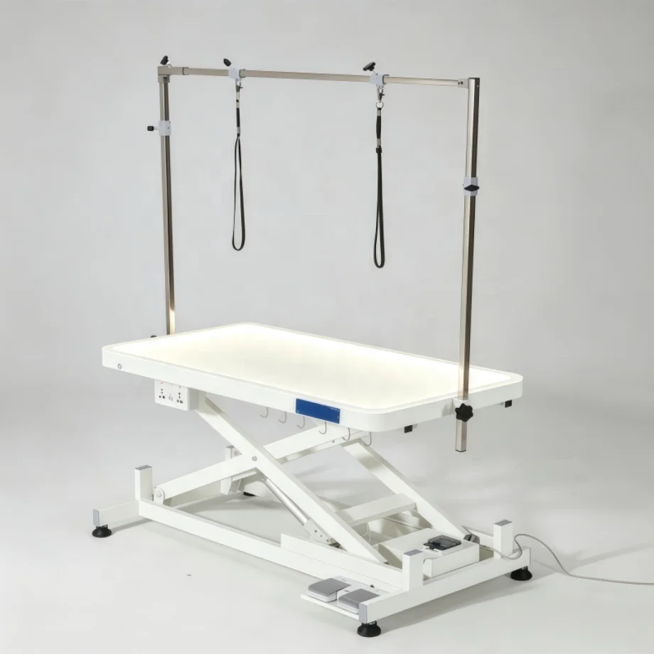 High Quality LED Electric Lift Pet Grooming Table Heavy Duty Illuminated Dog Grooming Table for Pet Grooming Salon