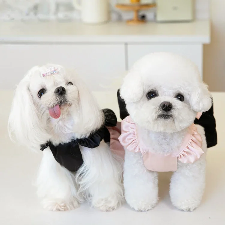 Pet Shiny Yarn Skirt Color Contrasting Bow Skirt Cat and Dog Teddy Dress INS Fashion Pet Clothing Dog Dresses for Small Dogs