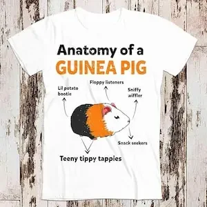 Guinea Pig Anatomy Pet T-Shirt - Unisex Vintage Gamer Movie Top