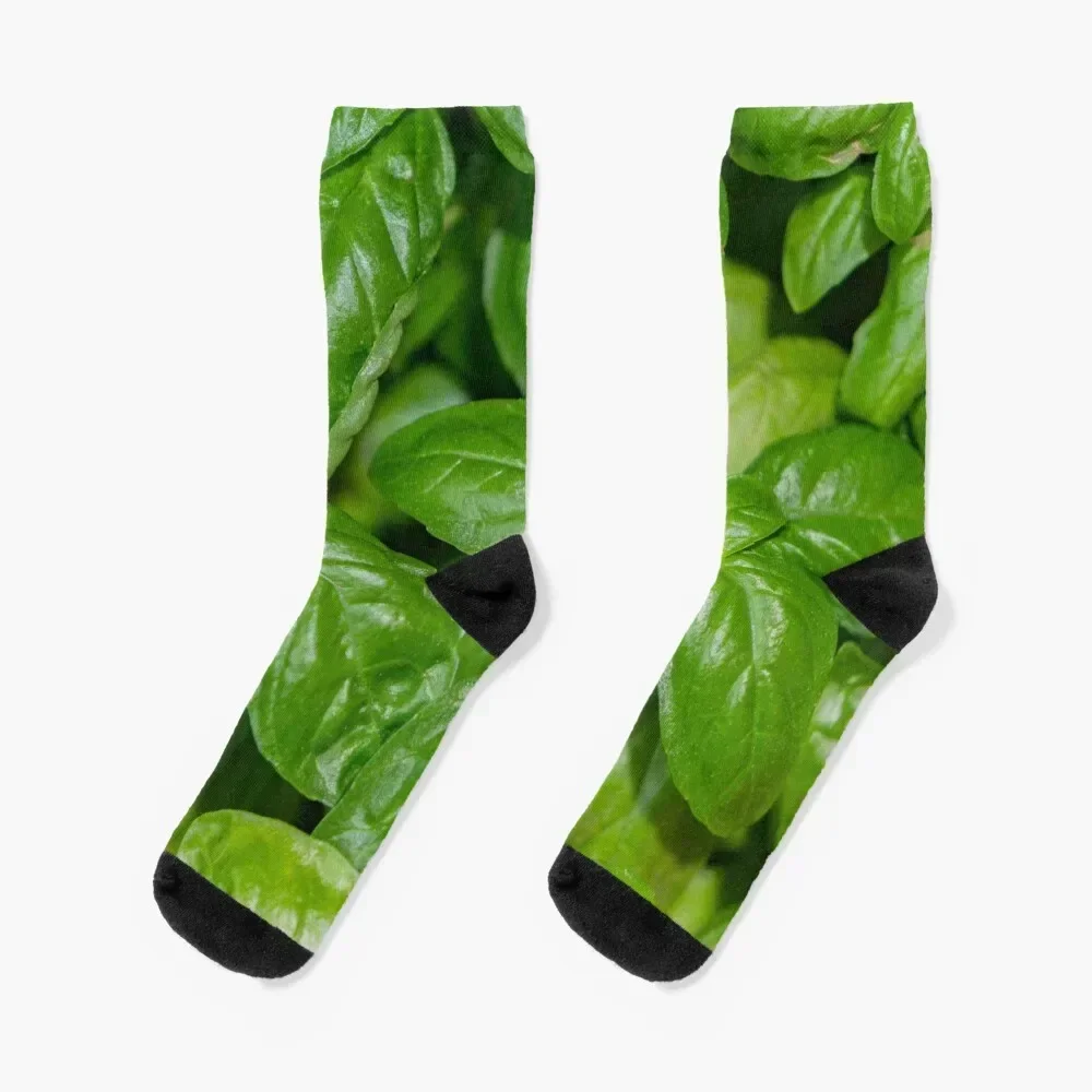 Detail of green leaves of Italian basil Socks funny gift summer Non-slip Socks Man Women's