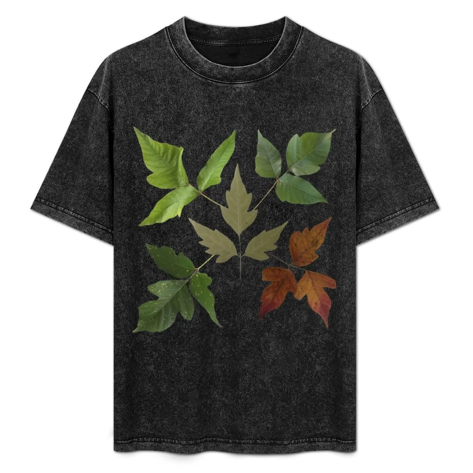 

Real Poison Ivy Leaves Leaves of three, let them be T-Shirt cute clothes blue lock plus size clothes mens workout shirts