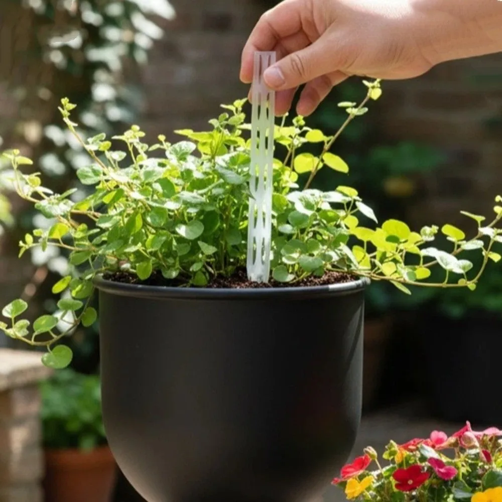 

10PCS Transparent Plant Drainage Pipes Breathable Prevent Root Rot Plant Root Ventilation Improve Drainage Plastic