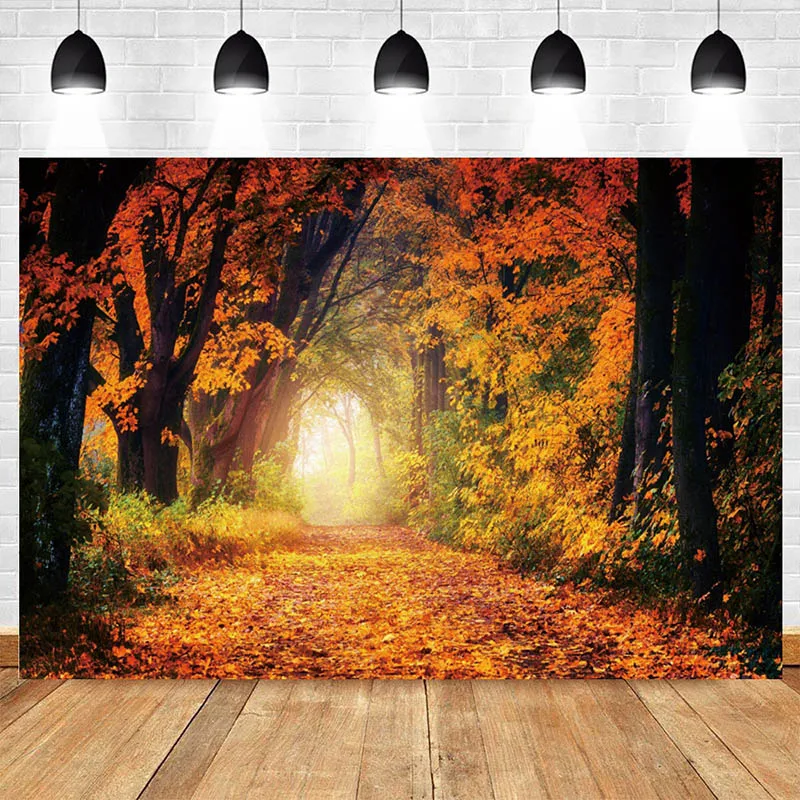 Nature Landscape Picture Autumn Forest Trees Posters Sunshine Prints Canvas, Wall Art, For Living Room Decor Cuadros Gift