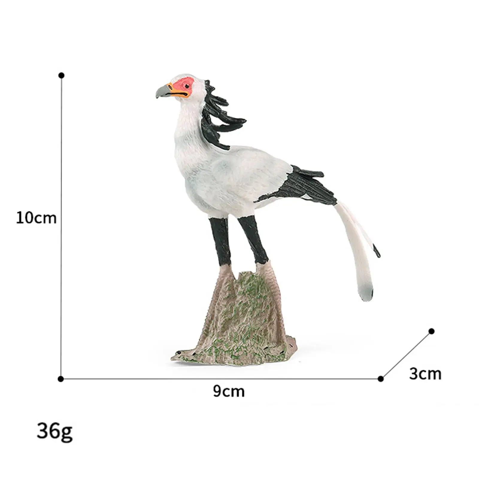 子供のためのリアルな秘書の鳥のフィギュア、リアルなおもちゃ、誕生日プレゼント、パーティー用品