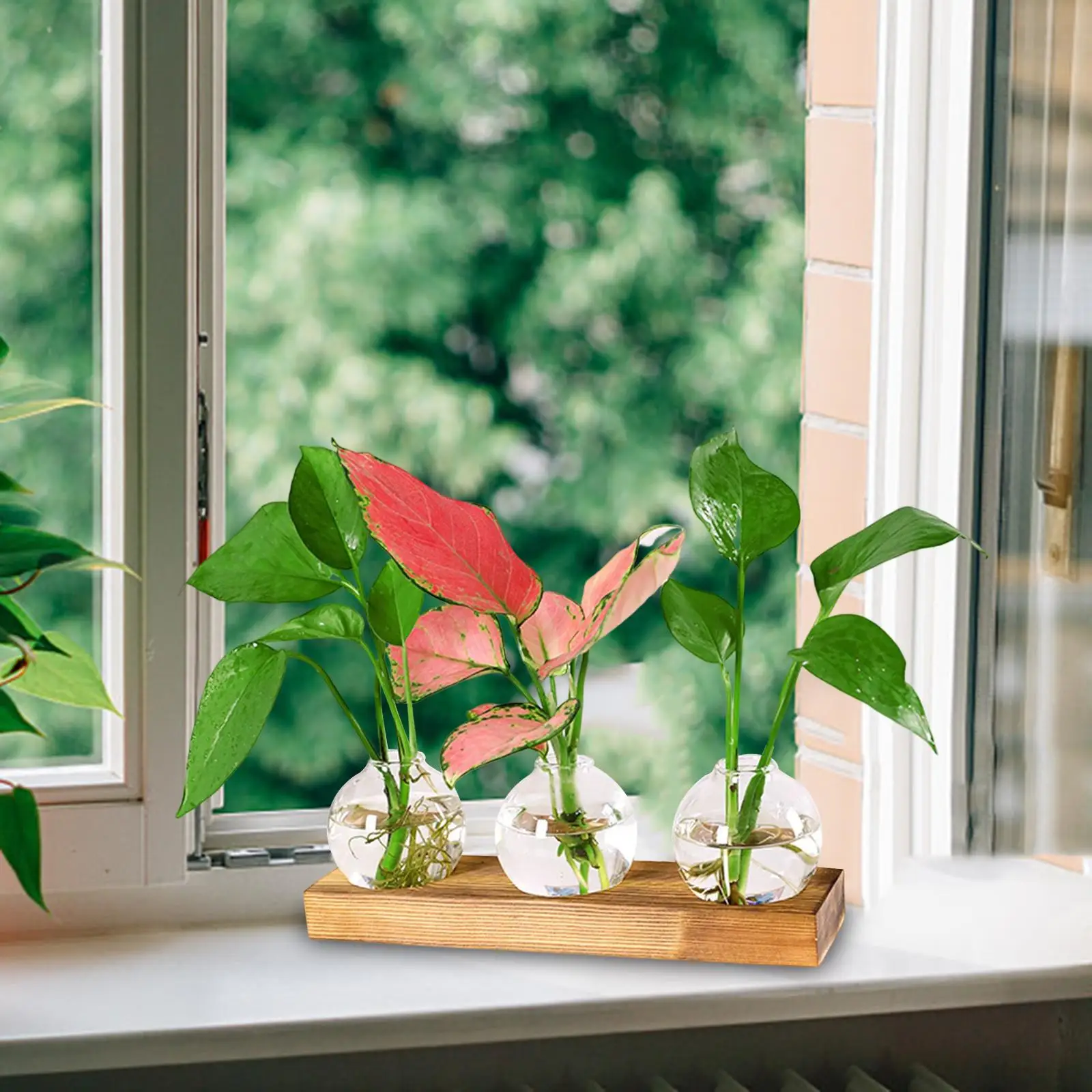 Vase en verre transparent avec base en bois, bouteille créative, pot de propagation