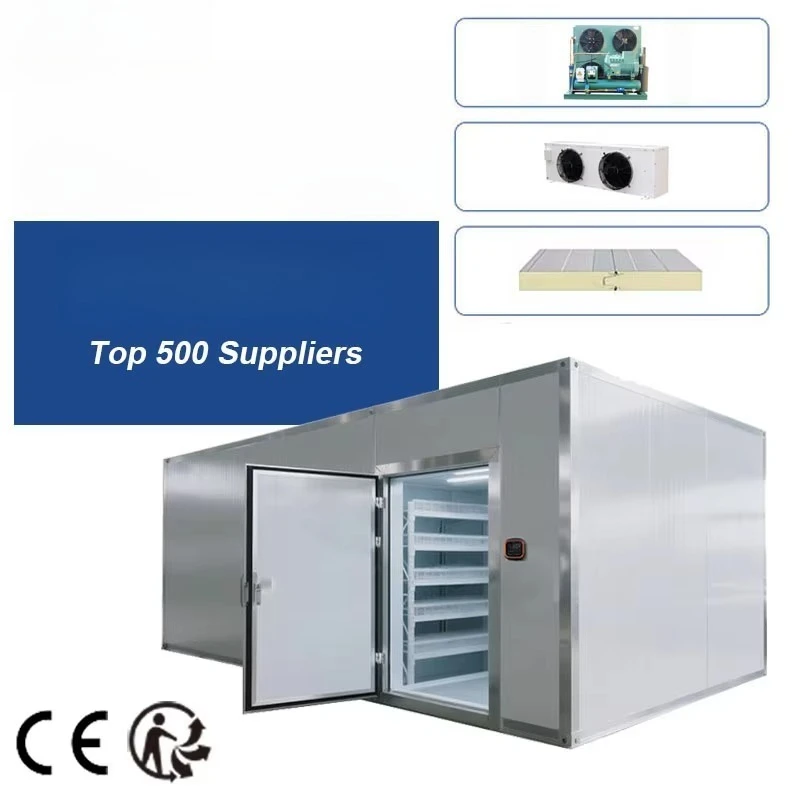 Custom Quick Installation Mobile Cold Storage Room Large Commercial Freezer Equipment For Fish Flower Fresh Preservation