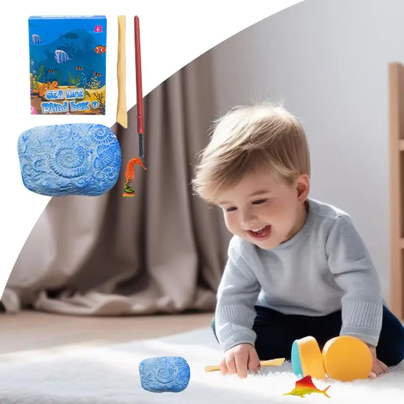 Kit di scavo di animali oceanici Giocattolo educativo scientifico per bambini Fossil archeologico Giocattoli oceanici per ragazzi Ragazze Scienza educativa Geolog
