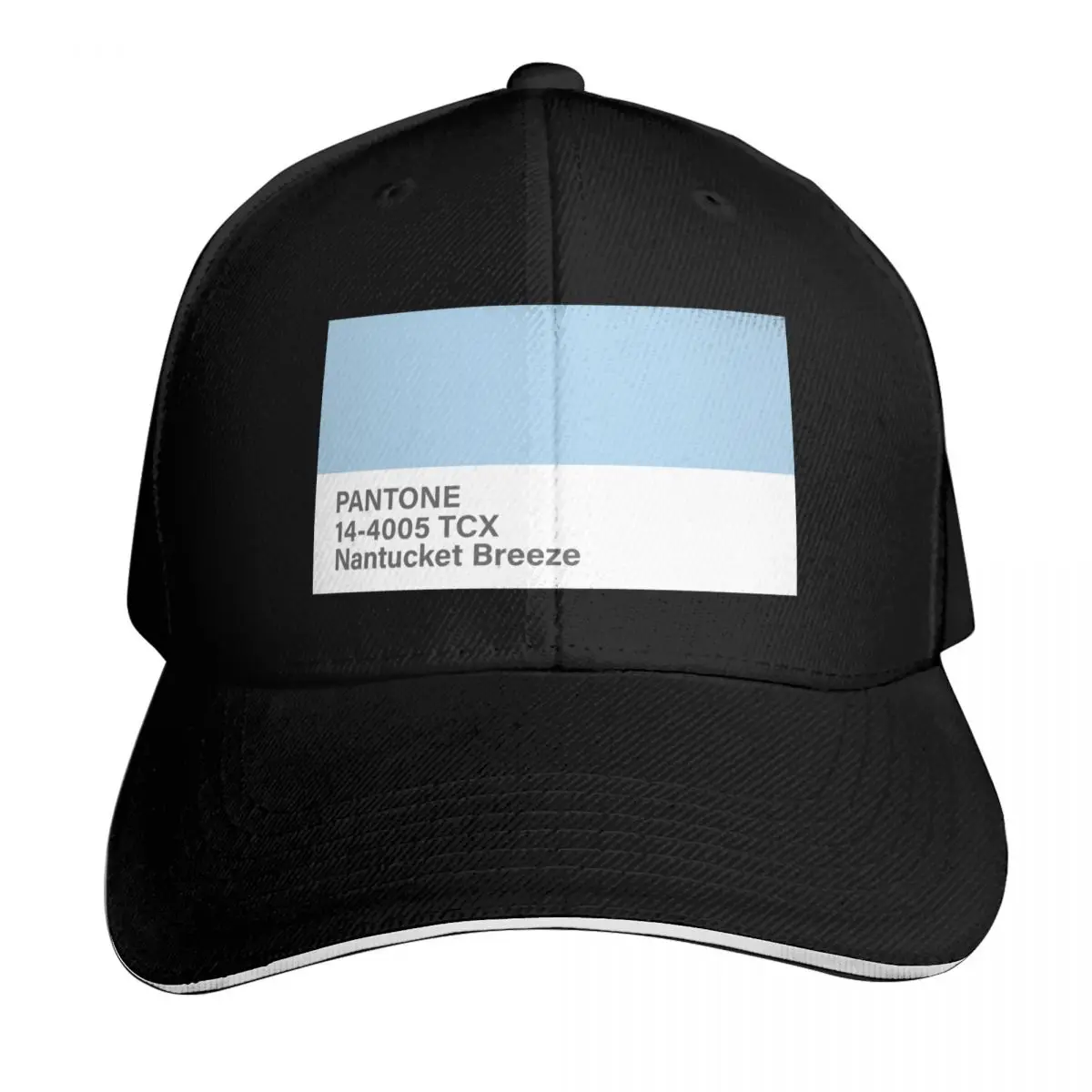 Gorra de béisbol pantone 14-4005 TCX Nantucket Breeze, gorra de talla grande, gorra de invierno, gorra deportiva, gorras para niñas y hombres