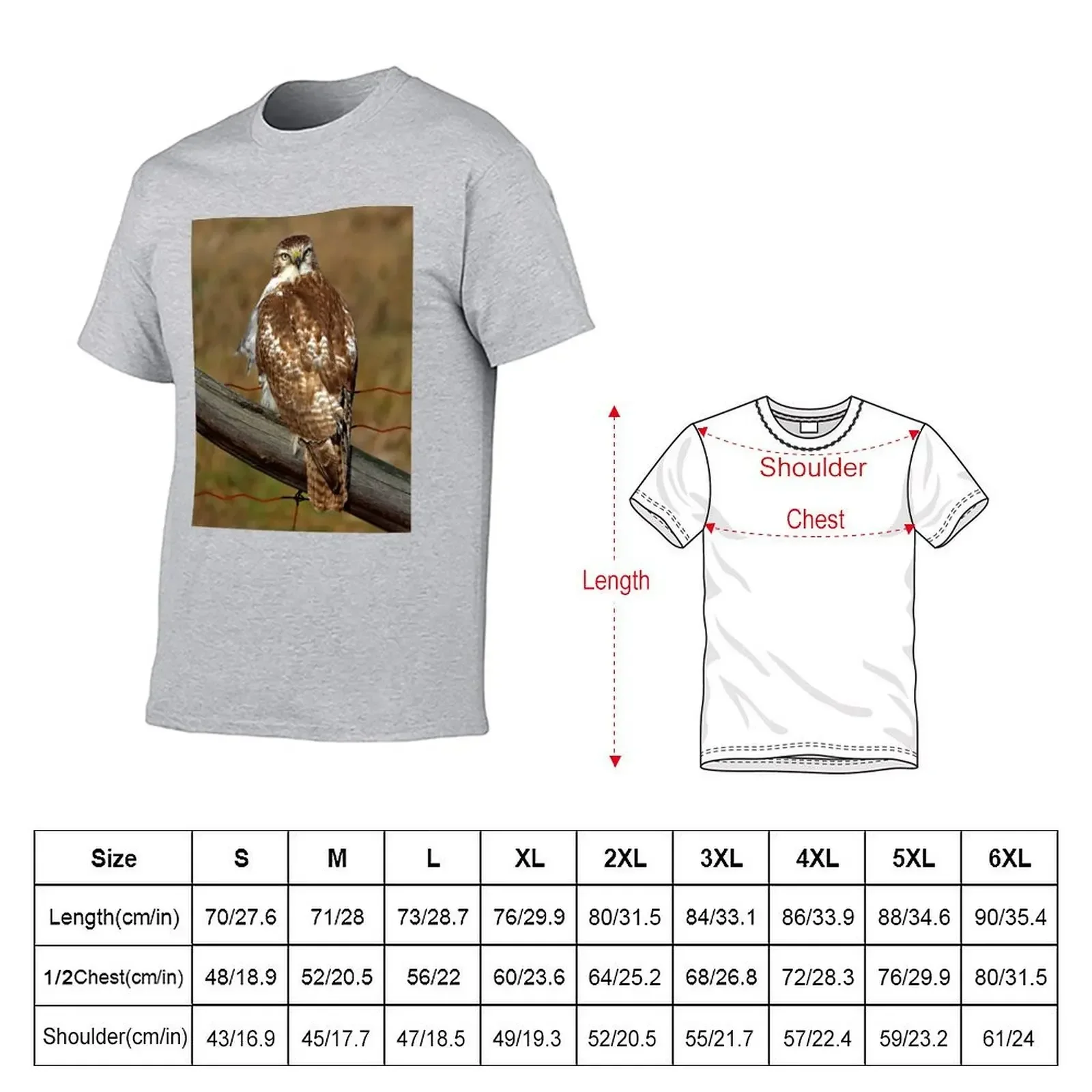 Red-tailed Hawk on fence T-Shirt heavyweights summer clothes graphic shirts graphic t shirts mens graphic t-shirts anime