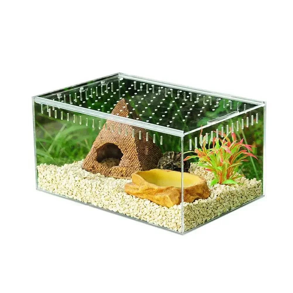 Reptile Breeding Box Acrylic Transparent Sliding Cover Reptile Tank Insect Spiders Tortoise Lizard Feeding Box Terrarium