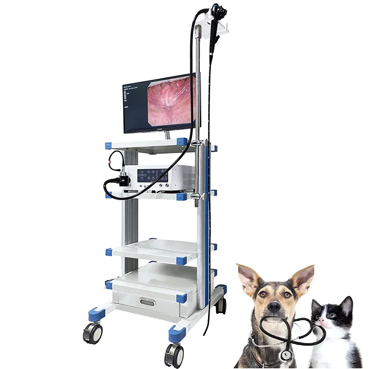 Portable 8mm Veterinary Video Endoscope Animal Dog Cat Flexible Gastroscope with Channel