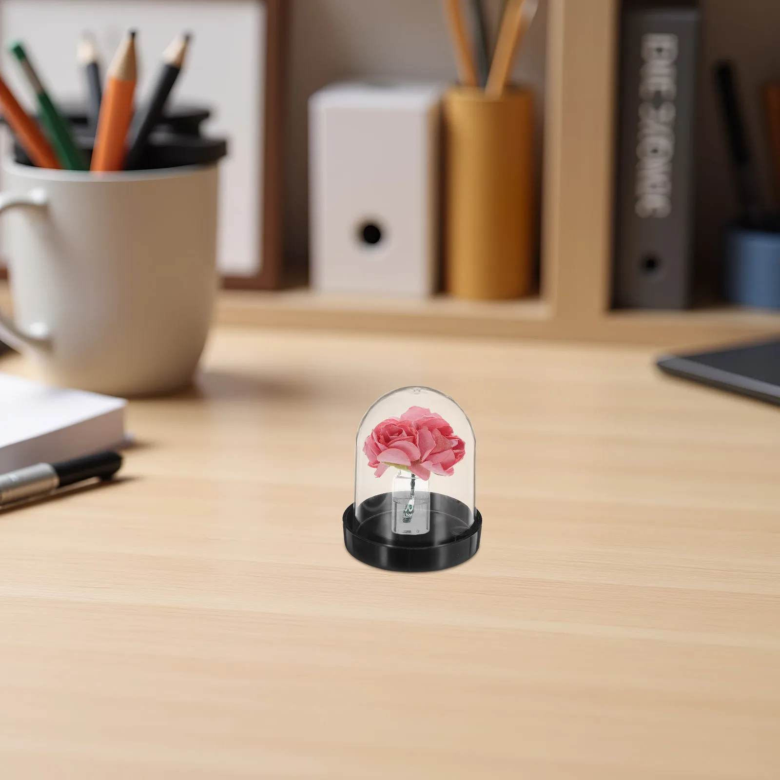 

4Pcs Micro Landscape Protection Dome Multi Use Transparent Display Cover for Craft Plant Ornament Christmas Decor