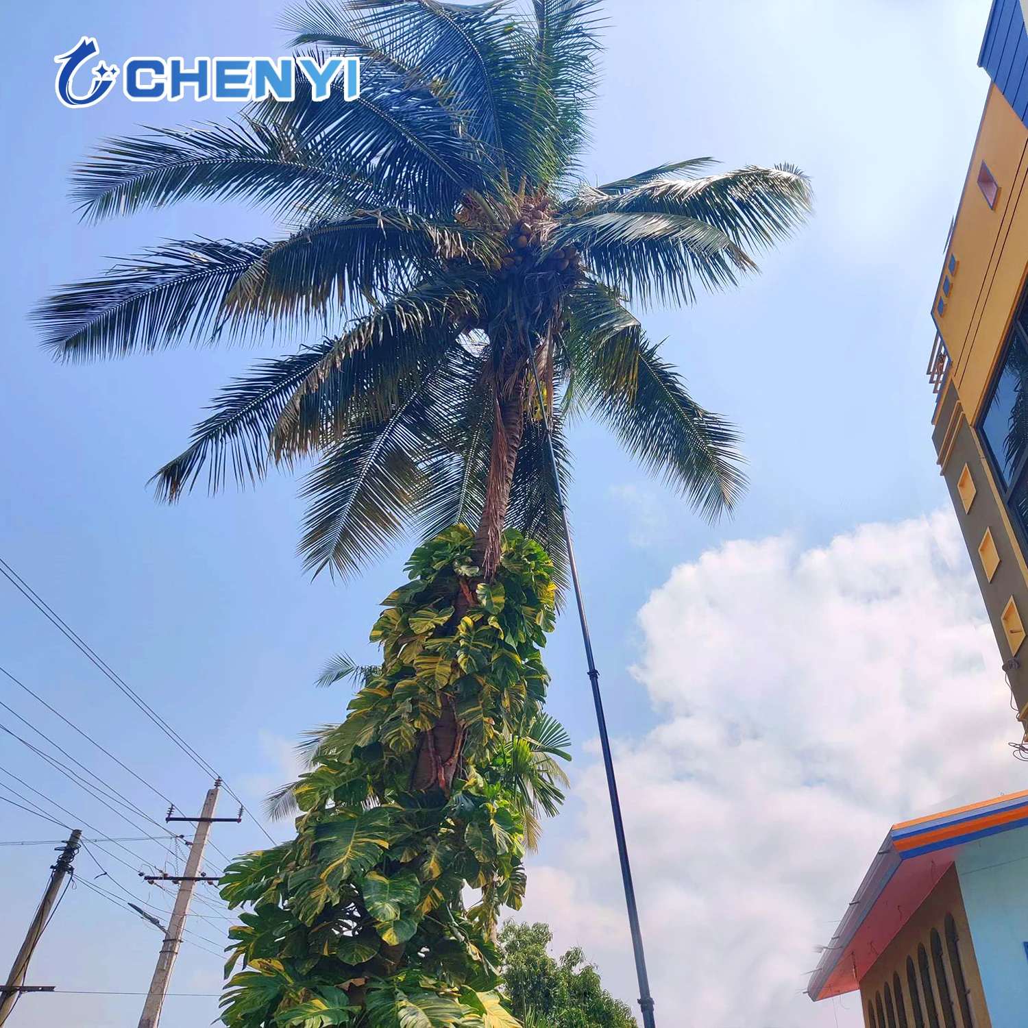 

Arica Cutting 80 Feet Carbon Fiber Pole