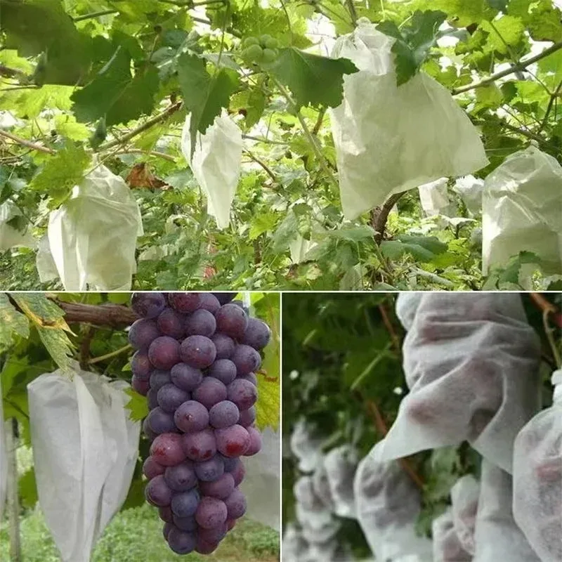 100pcs Plant Growth Bag Fruit Protection BagGrape Non-woven Fabric Vegetable and Apple Bag Net To Protect Fruits From Insects