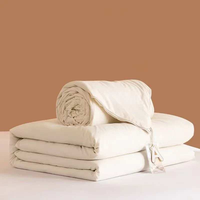 Mulberry Silk Comforter Cotton Four Seasons Quilt Twin Queen King SIze Bedding Warm Winter Blanket Single Double Bed Duvet