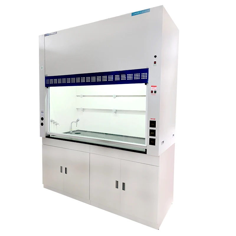 

New Laboratory Fume Hood Cupboard For Inspection And Testing Center