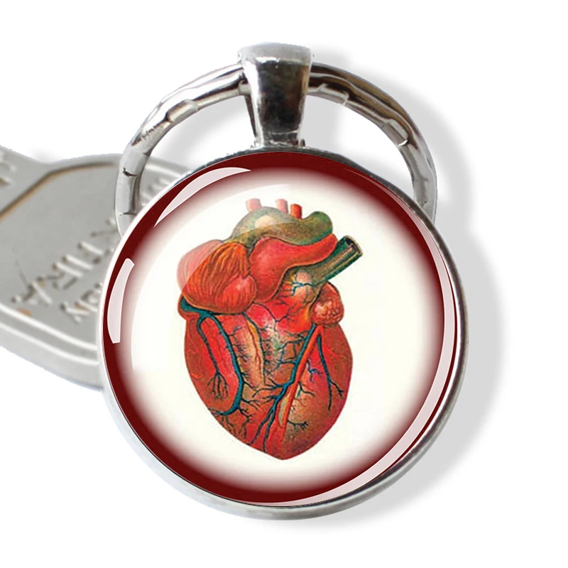 Medical Anatomical Heart Glass Keychain Alloy Key Rings Human Body Structure Key Chain Doctor Gift