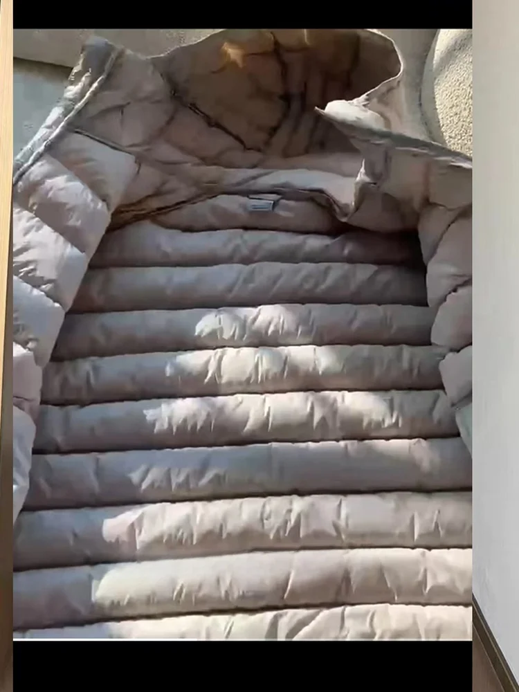 Hiver nouvelle Version coréenne femmes coupe ajustée léger à capuche vers le bas coton Jaet chaud Couple manteau longue Sve fermeture éclair