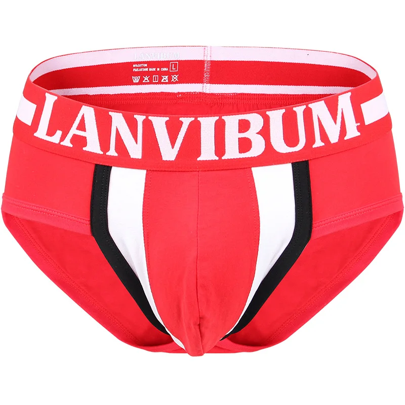 Men Transparent Briefs  Cotton Boys Underwear Calzoncillos Ropa Interior Sexy De Hombre трусы мужские плавки