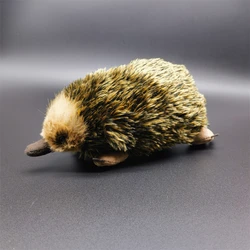 Echidna High Fidelity Anime Cute Mole Plushie Spiny Anteater Plush Toys Lifelike Animals Simulation Stuffed Doll Kawai Toy Gifts