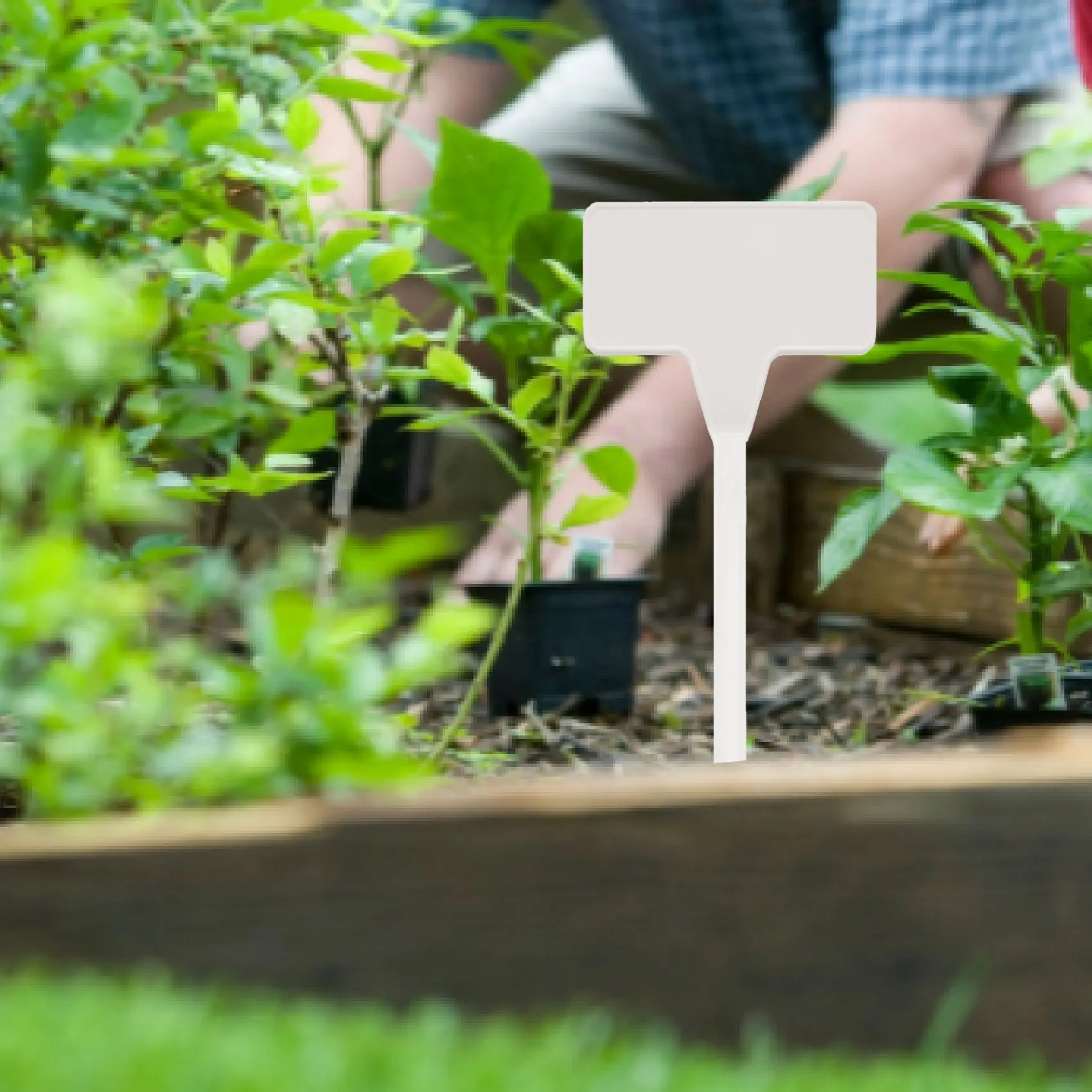 Gärten Pflanz werkzeuge 50 Stück Bonsai Kunststoff Pflanzen etiketten Garten etiketten T-Typ umgedrehte Garten anhänger Marker Kindergarten umgedreht