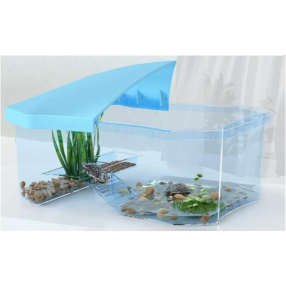 

Compact Brazilian Tortoise Habitat: Blue Eco-Terrarium for Small Reptiles at Home