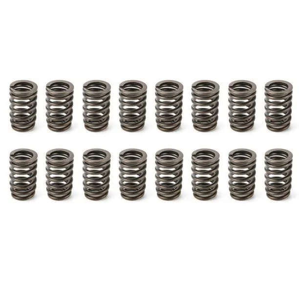 For LS Truck Camshaft Kit Stage 3 Cam V2 Valve Springs Seals 4.8 5.3 6.0 6.2 BTR31824100