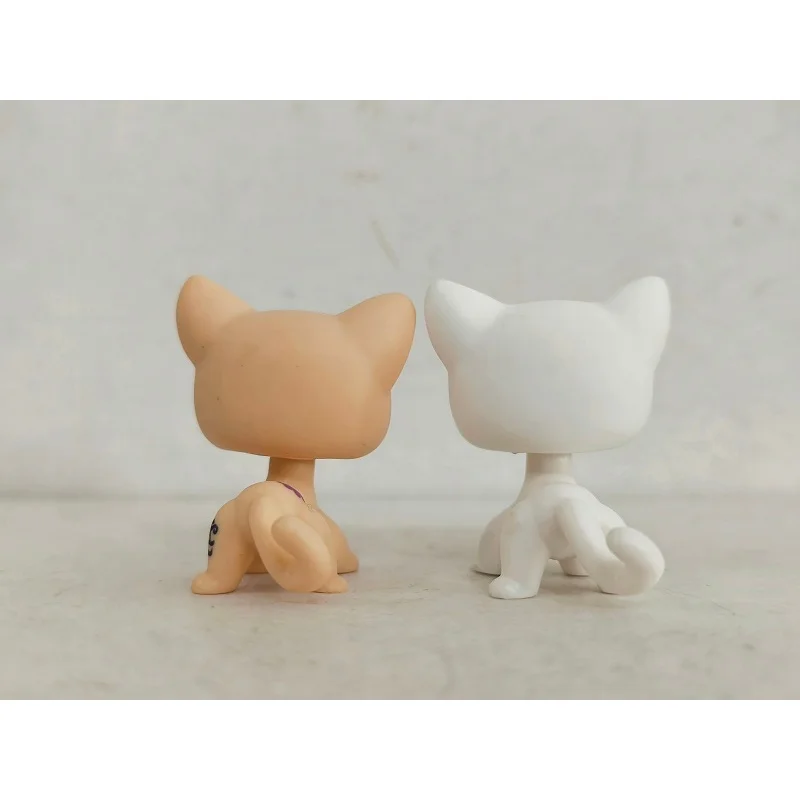 2 pçs/lote Littlest Pet Shop Amarelo Branco Gato de Cabelo Curto # 1962 # 64 figuras de animais