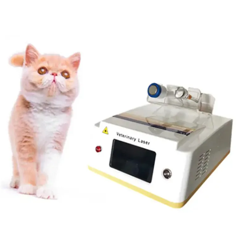 

Beauty Equipment Model 980Nm Dog Therapy Machines Laser Veterinary Therapy Machines With Two Years Free Warranty Dhl