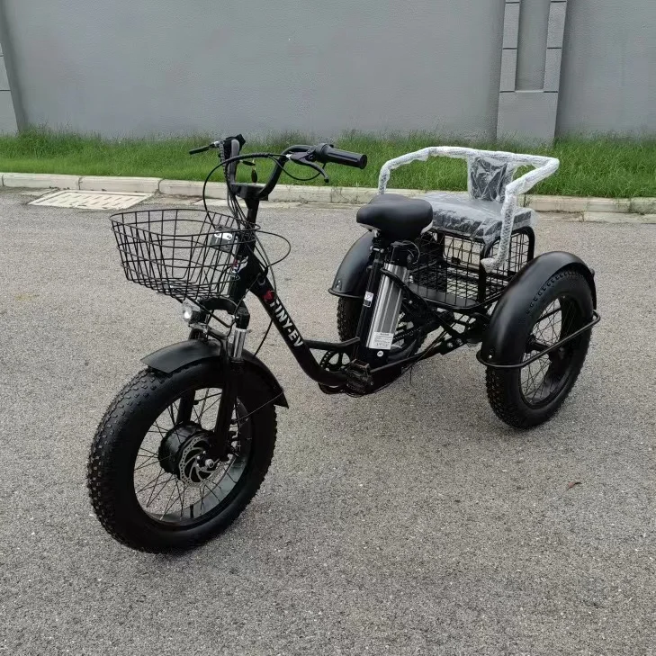 48V Fashion 3 Three Wheel Cargo Adult Electric Trikes Fat Tire Sand And Snow 750w Electric Delivery Fast Tricycle Bikes Adults