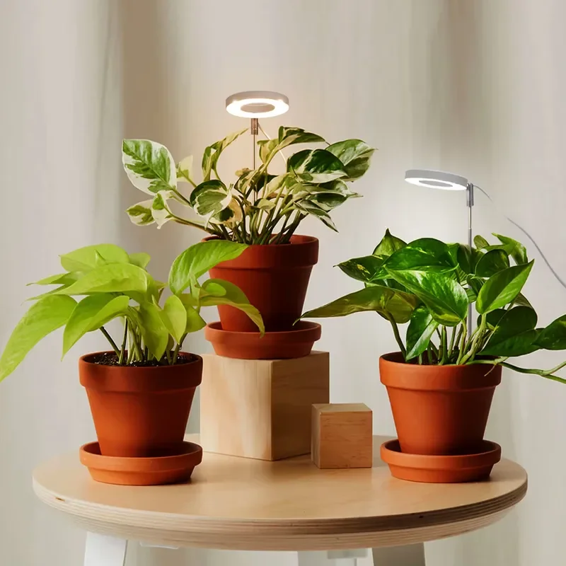 Adjustable 3 Timer Modes Table Top Led Grow Light Home Full Spectrum Growing Lights for Plants Indoor