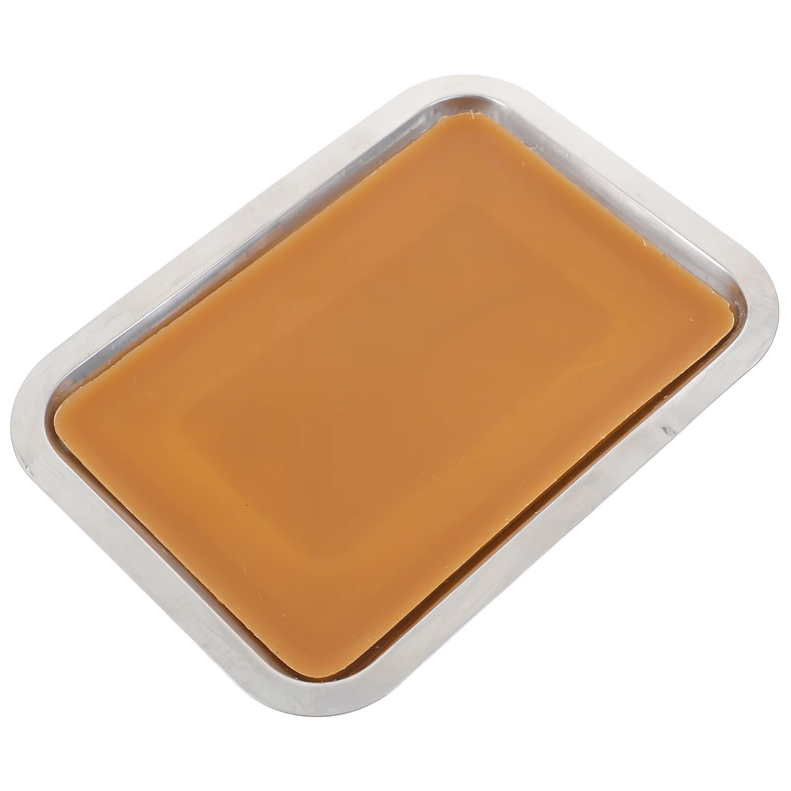 صينية تشريح 18 × 25 سم أداة مختبر من الفولاذ المقاوم للصدأ مطلية بالشمع الأبيض لتجارب الأحياء واستخدام تعليم الفصول الدراسية #2