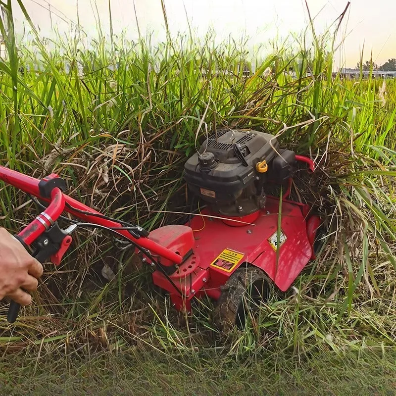 

Gas Powered Brush Cutter, Self-Propelled Weeding Machine for Orchard Land Clearing with Mulching
