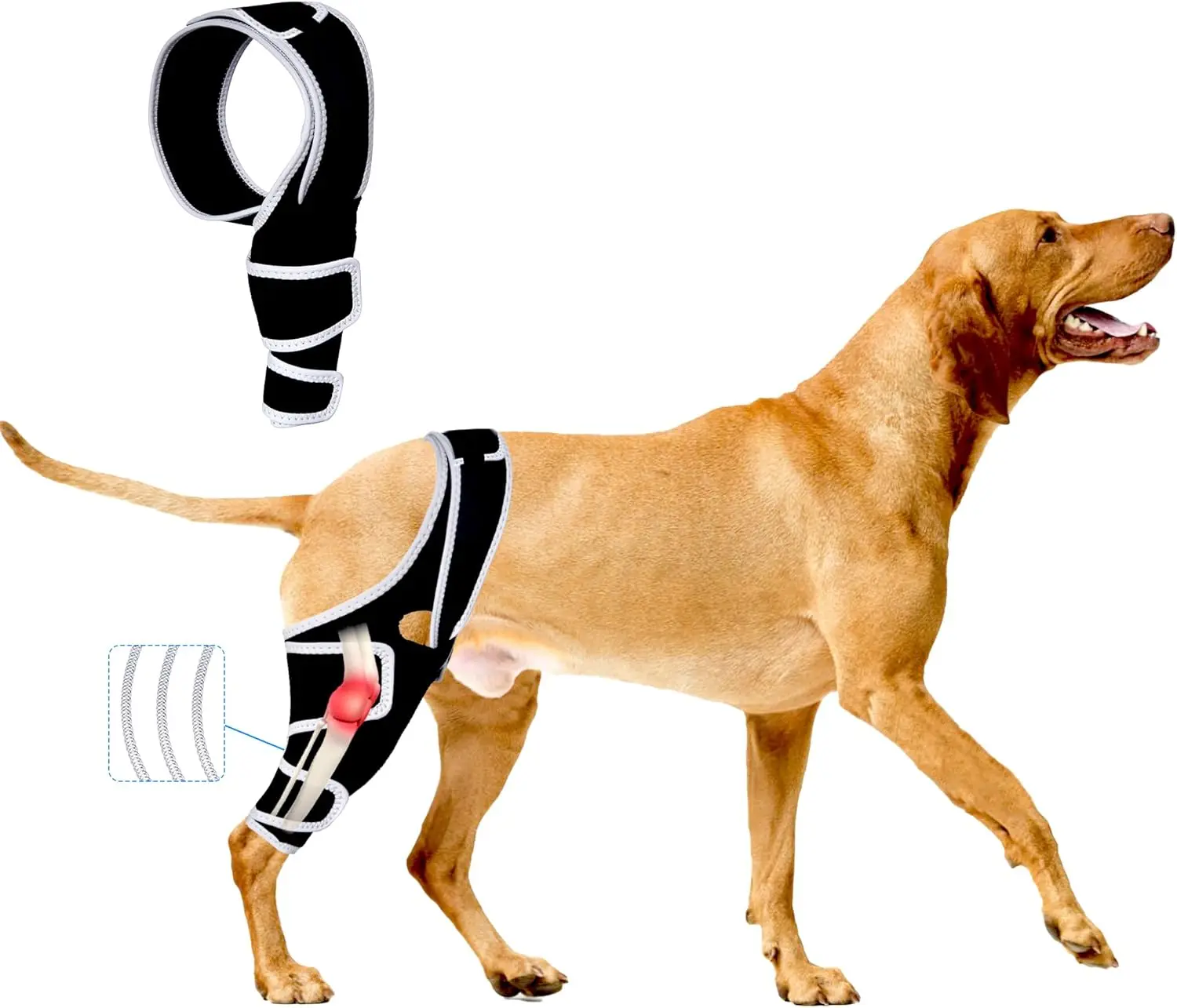 

Dog Knee Brace: Durable Neoprene Adjustable Straps for Pain Relief and Stability - Secure Support Cruciate Ligament Brace for