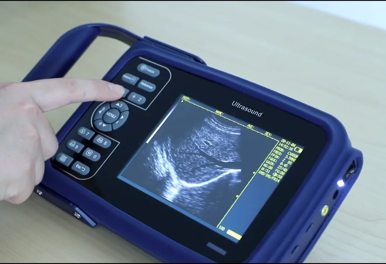 JM-807F Veterinary Portable B Ultrasound Equipment Animal Pregnancy